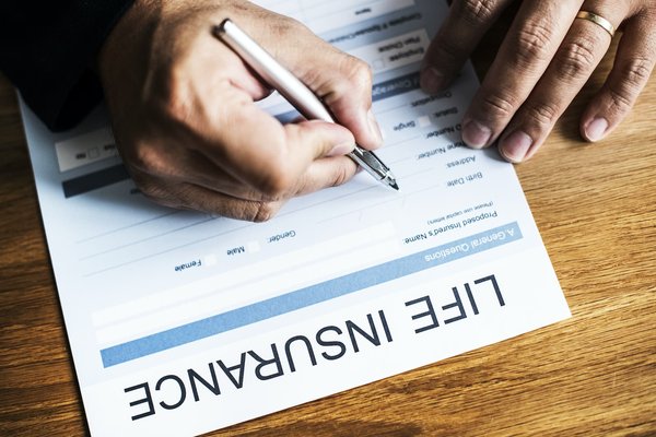 Quels sont les produits d'assurance vie écologique existants sur le marché ?